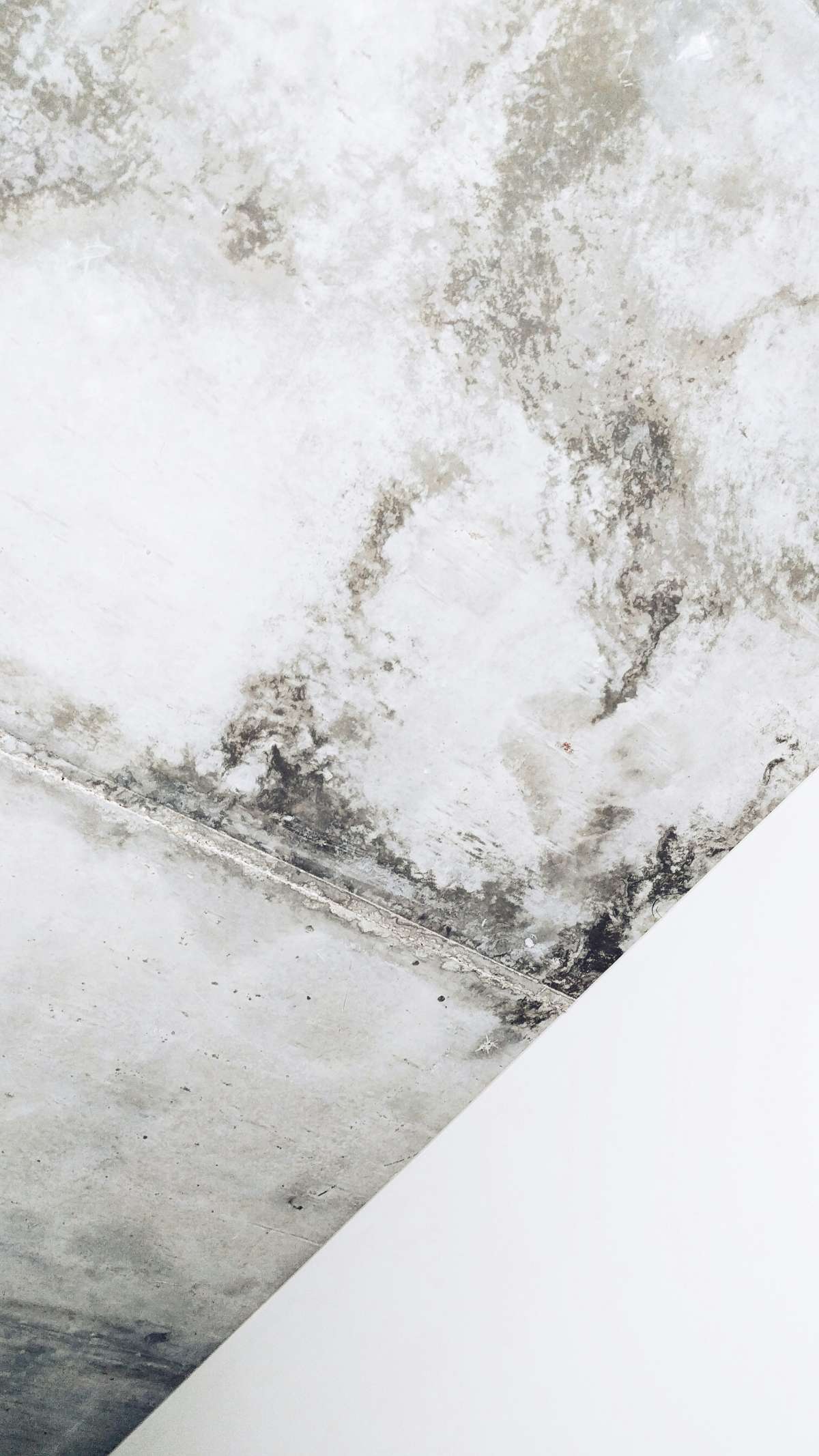olena-shmahalo-kpkdjuej5u-unsplash
