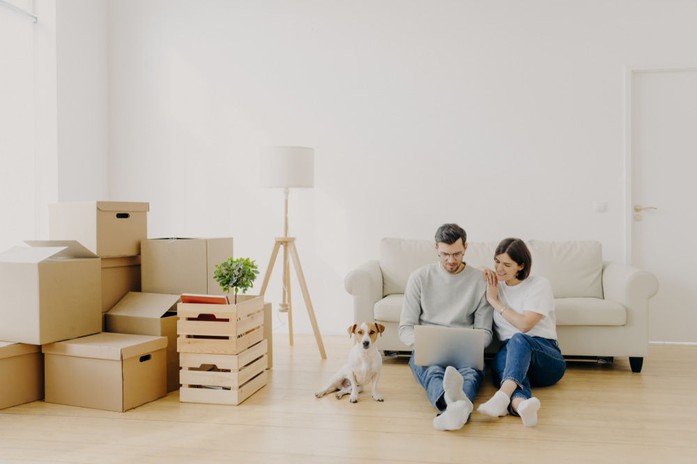 what-is-the-best-company-in-westminster-and-the-vicinity-that-offers-move-in-cleaning-services
