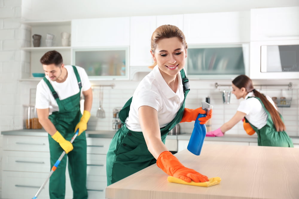 where-can-i-find-westminsters-professional-maid-service.