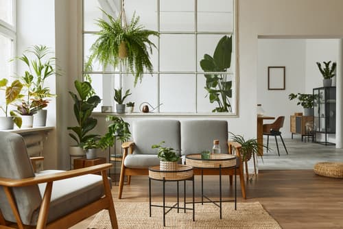 Why is it important to clean your home regularly